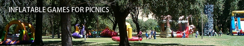 Bay Area Inflatable Games | Interactive Games | Picnic Planners